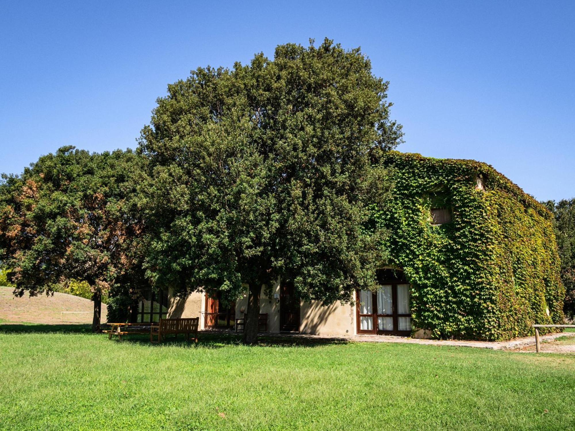 Laselva Albinia Exterior photo